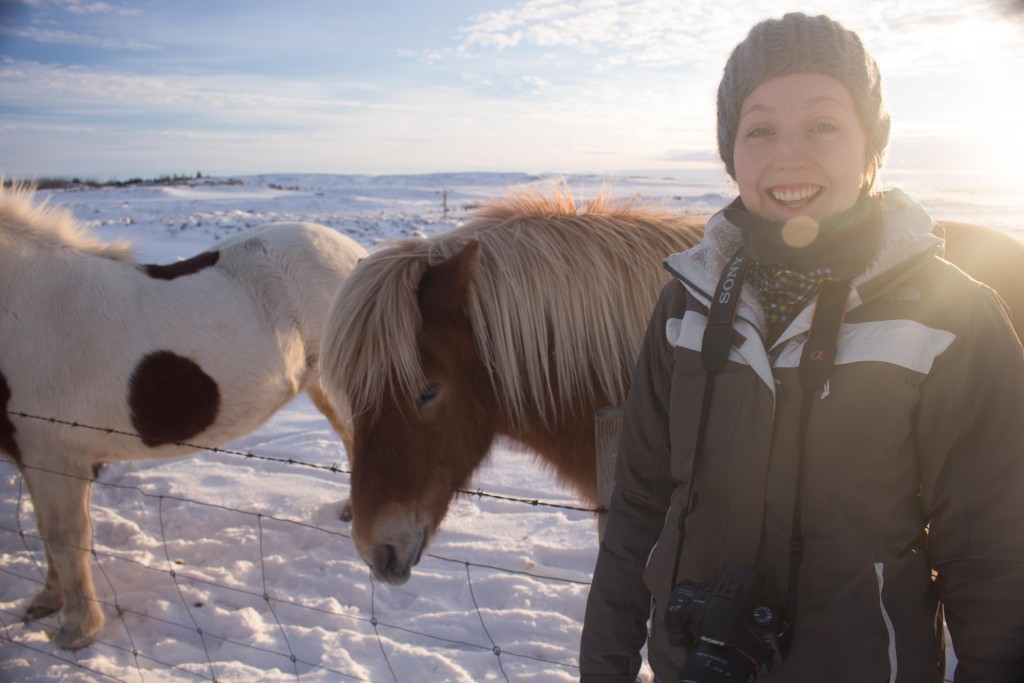 Feeding Icelandic horses in Iceland - Shortrounds