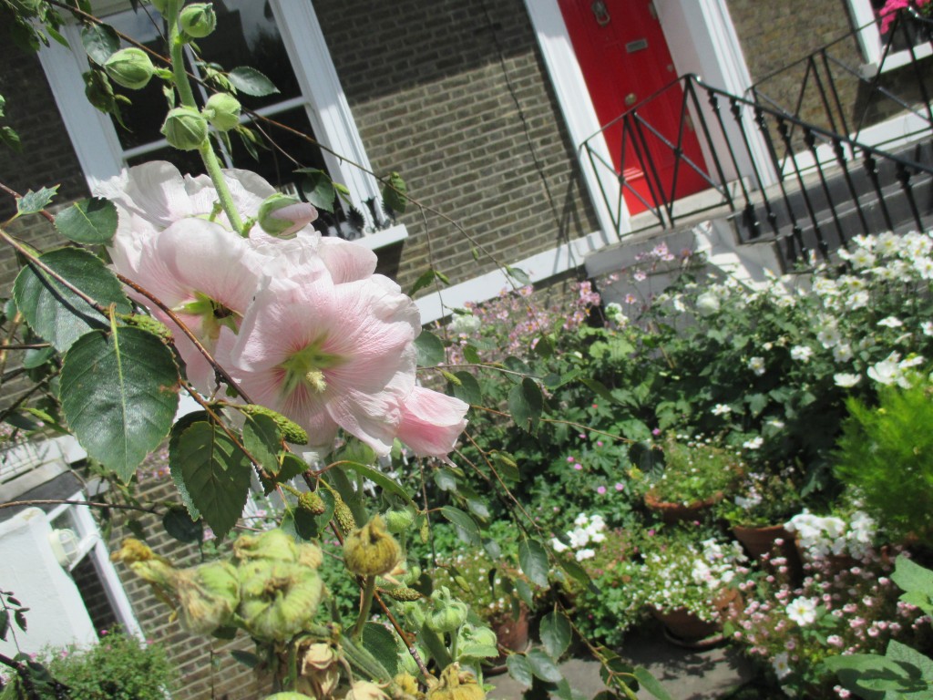 Notting Hill garden in bloom - Shortrounds Knitwear